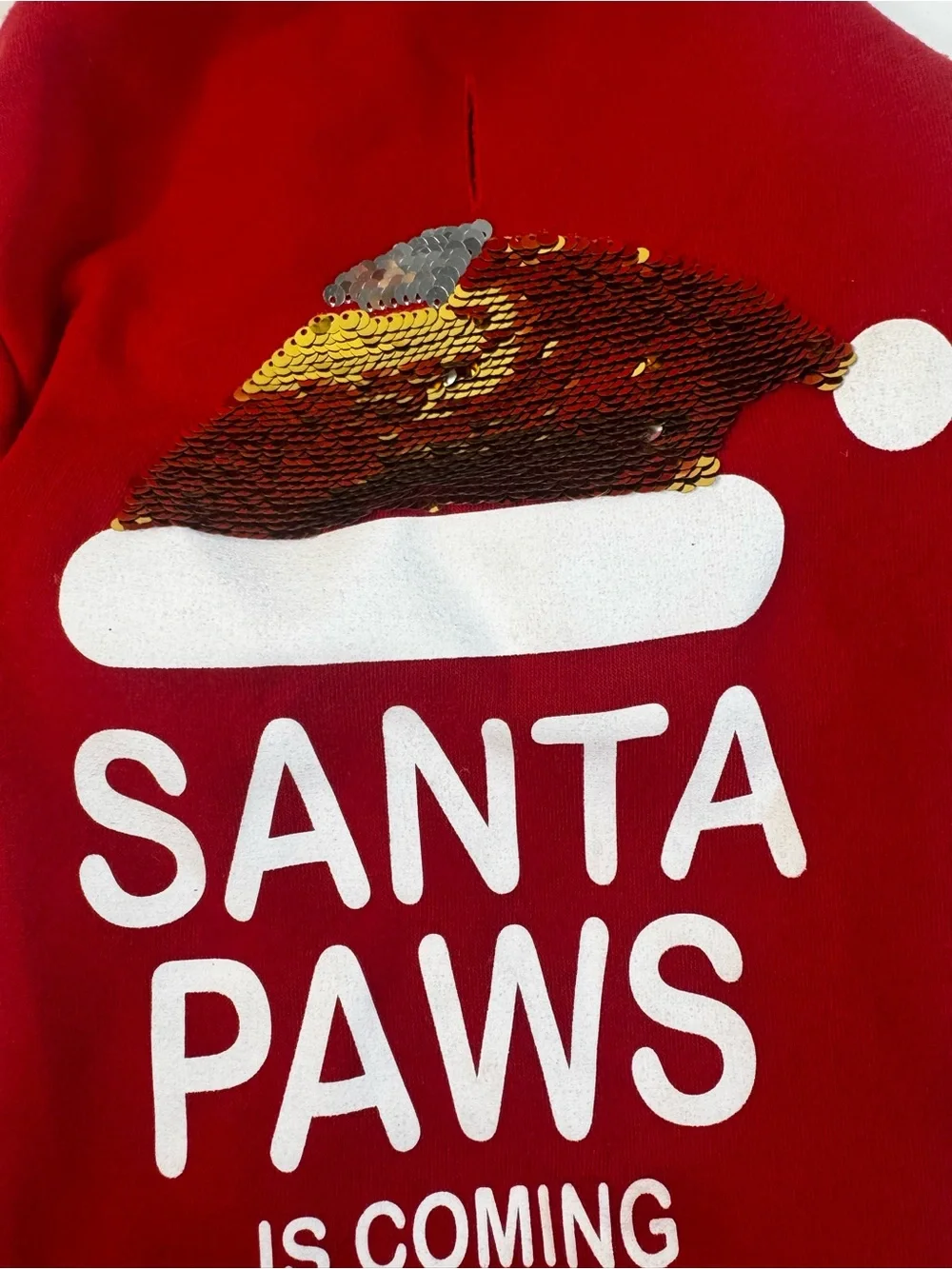 Santa Paws Holiday Dog Hoodie - Red